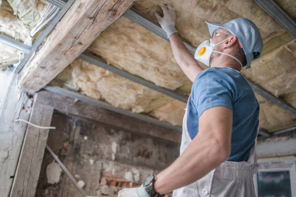 Best Insulation Installation Services in Avon, PA